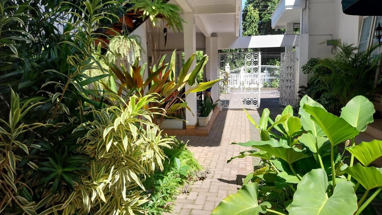 Surokarsan 9 House Yogyakarta酒店 外观 照片